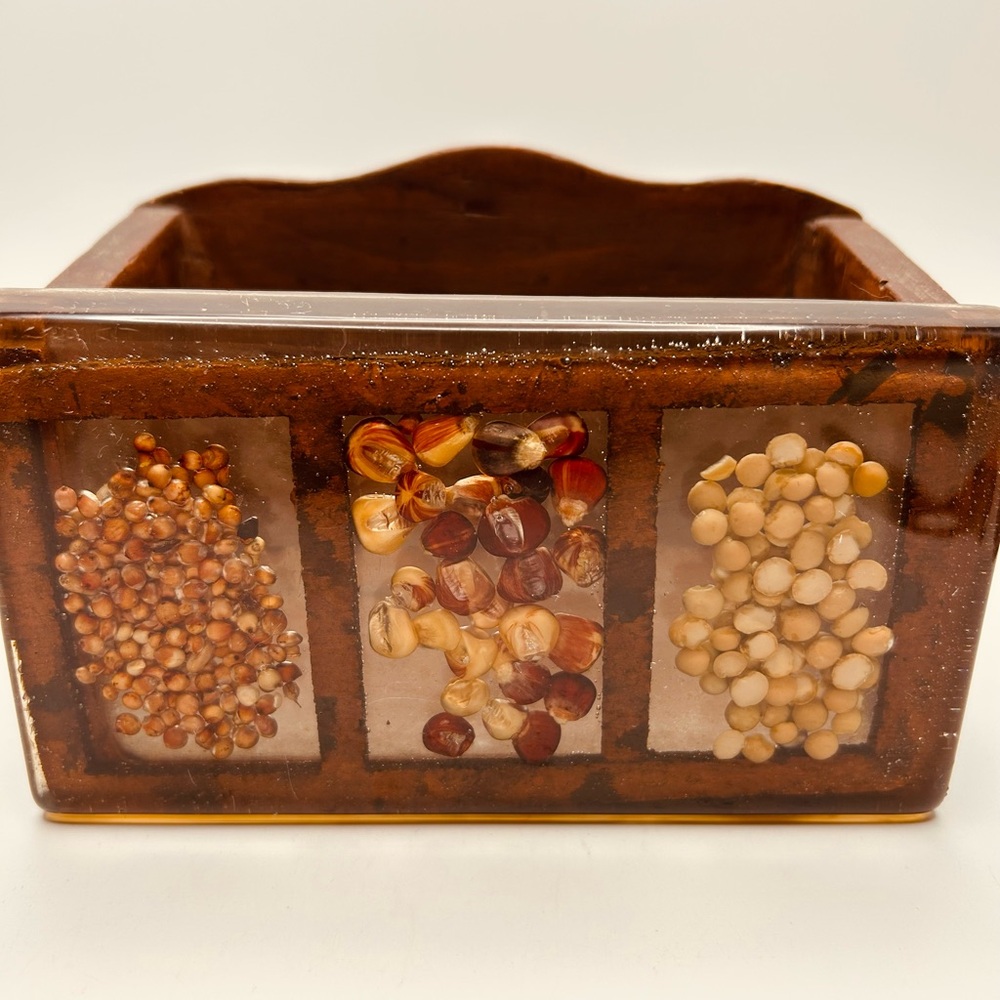 Vintage 70’s lucite and wood napkin/letter holder